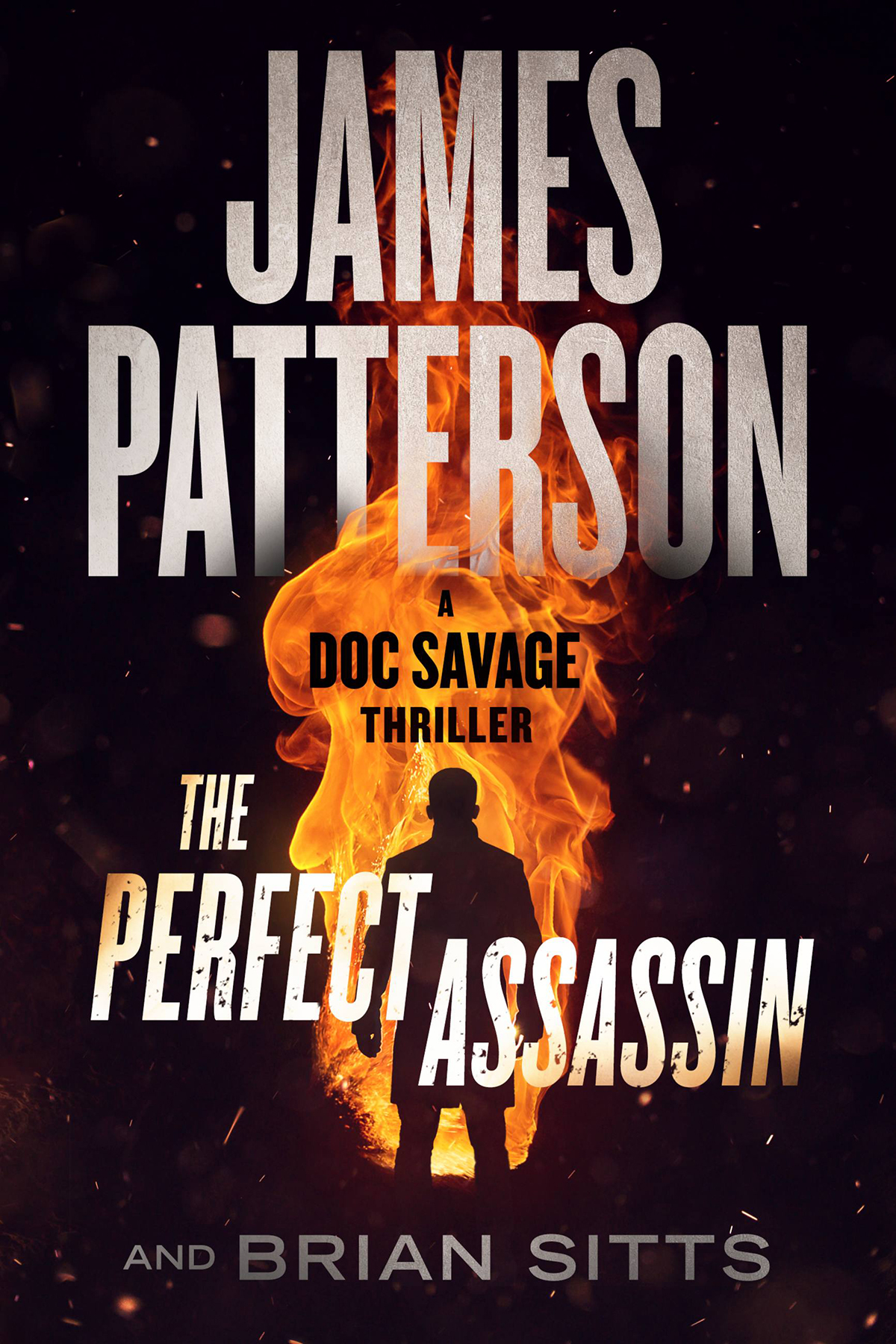 The Perfect Assassin James Patterson