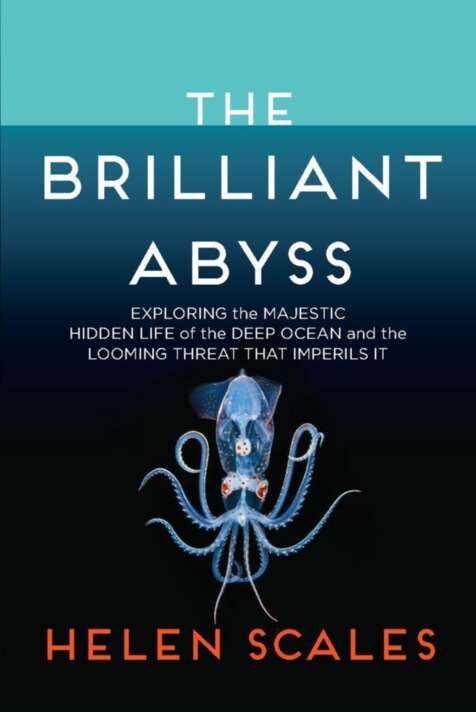 The Brilliant Abyss Helen Scales