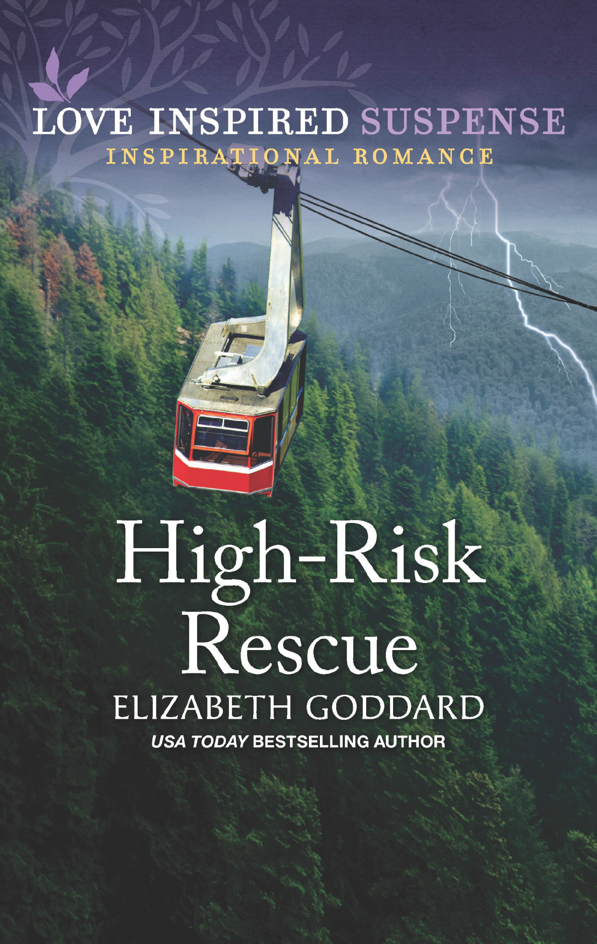 Highrisk Rescue Elizabeth Goddard