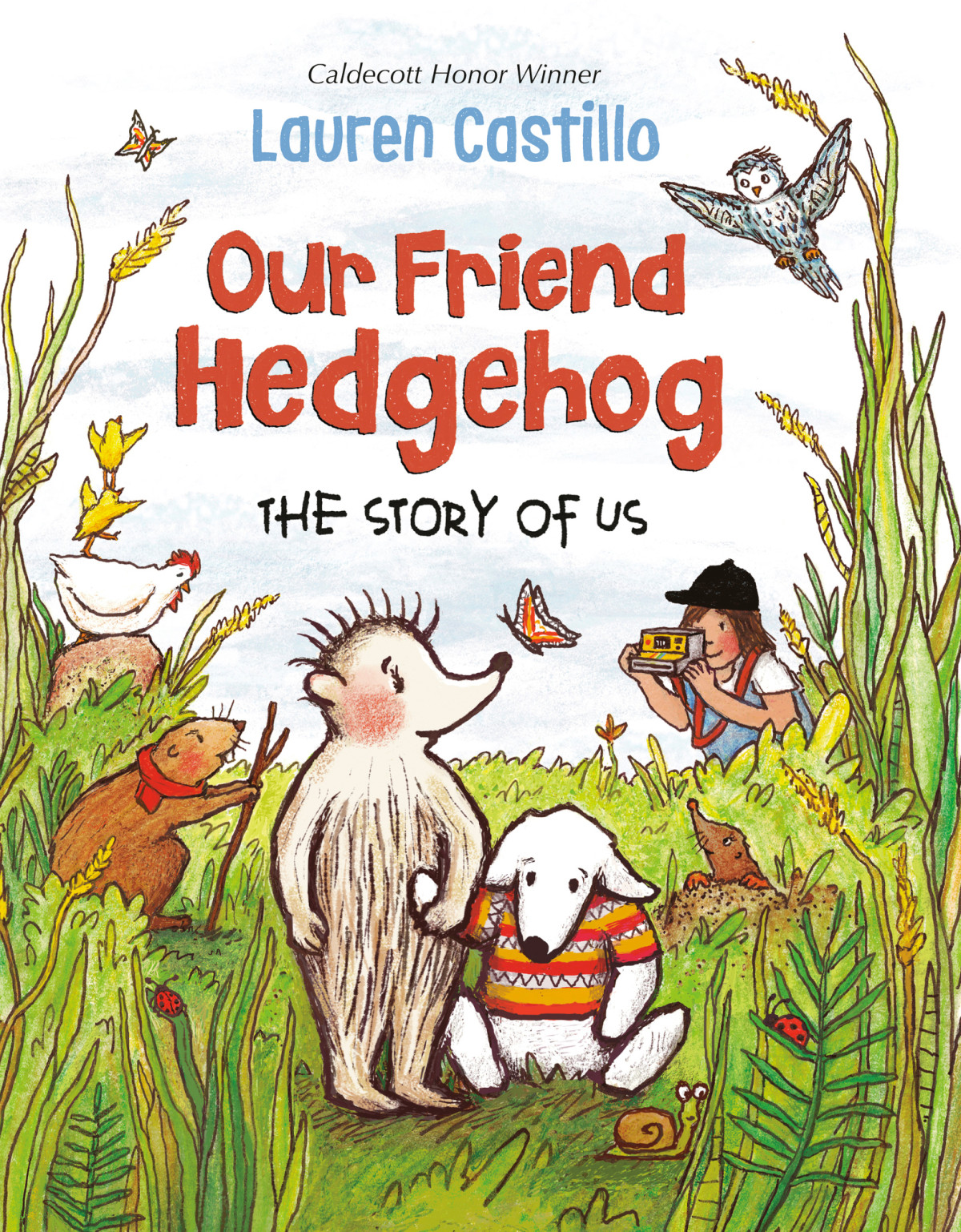 The Story Of Us Our Friend Hedgehog Lauren Castillo