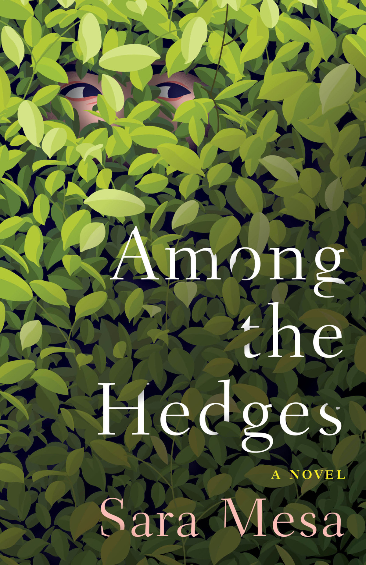 Among The Hedges Sara Mesa Megan Mcdowell Translation
