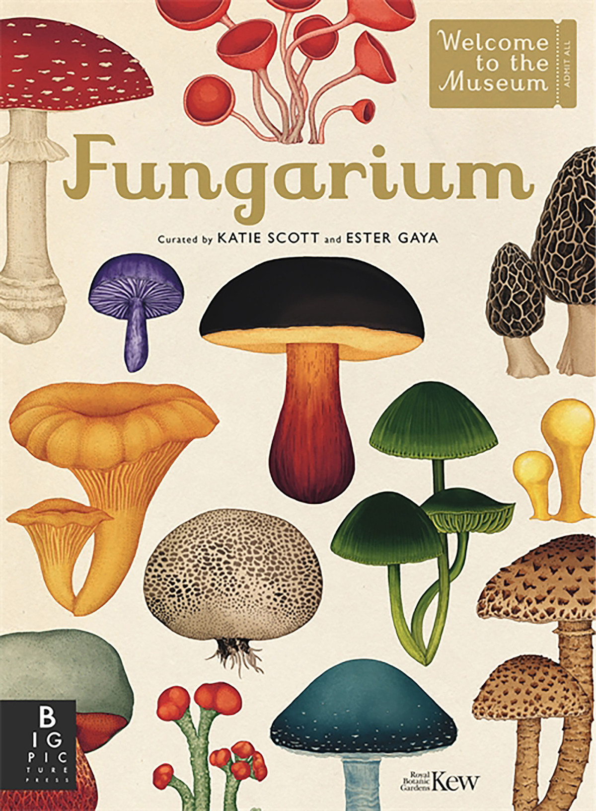 Fungarium Katie Scott Ester Gaya