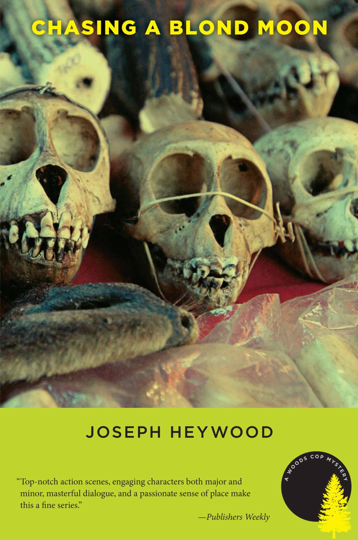 Chasing A Blond Moon Joseph Heywood