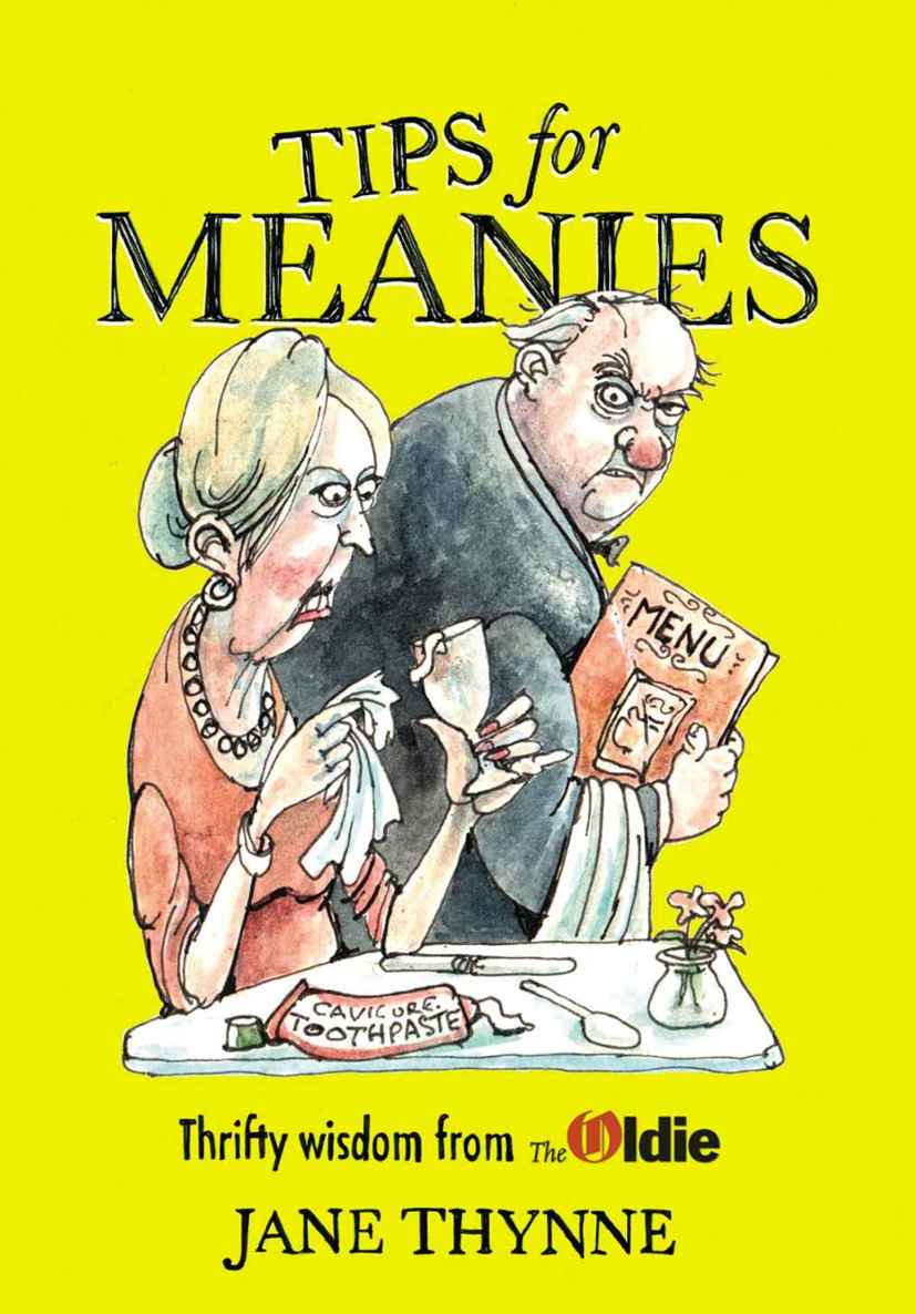 Tips For Meanies Thrifty Wisdom From The Oldie Thynne Jane