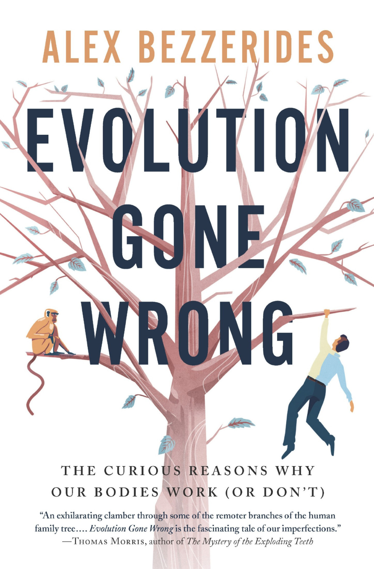 Evolution Gone Wrong The Curious Reasons Why Our Bodies Work Alex Bezzerides