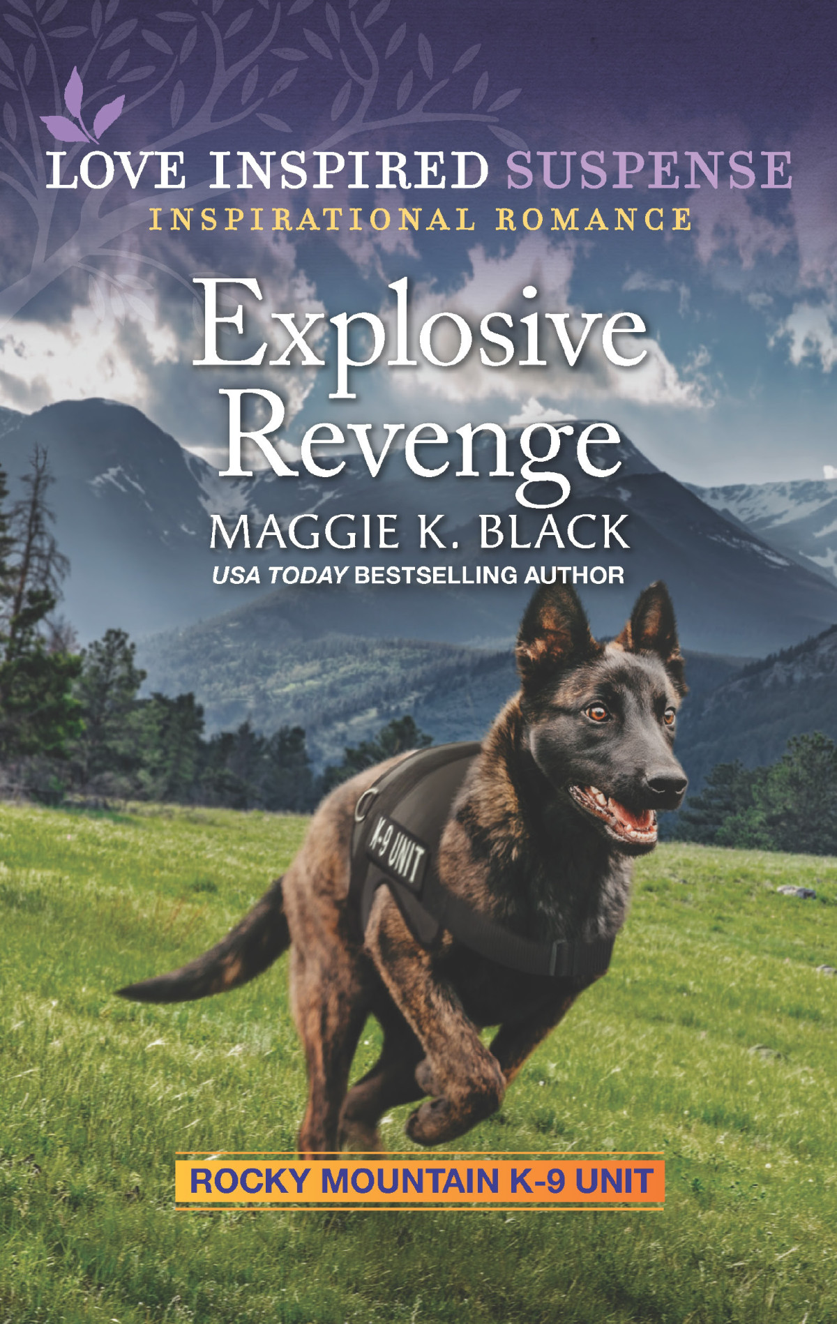 Explosive Revenge Maggie K Black