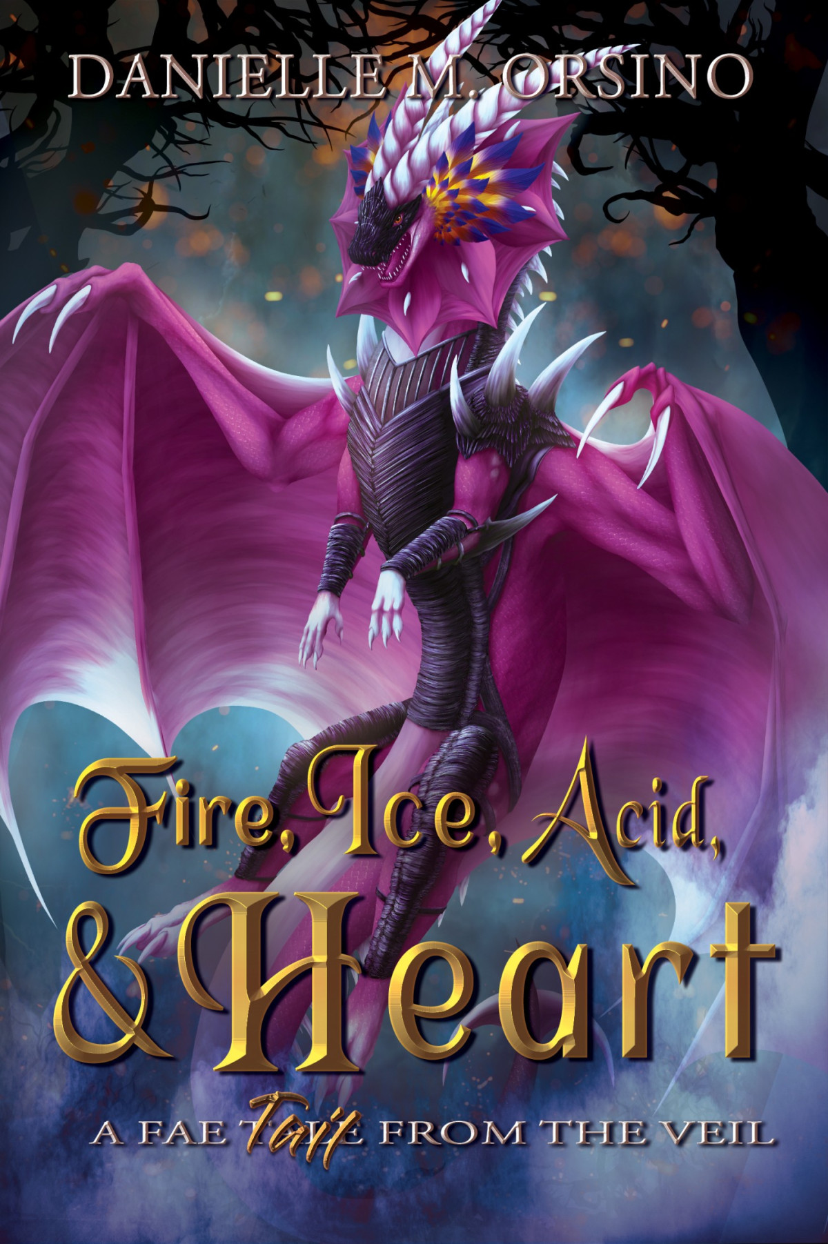 Fire Ice Acid And Heart Danielle M Orsino