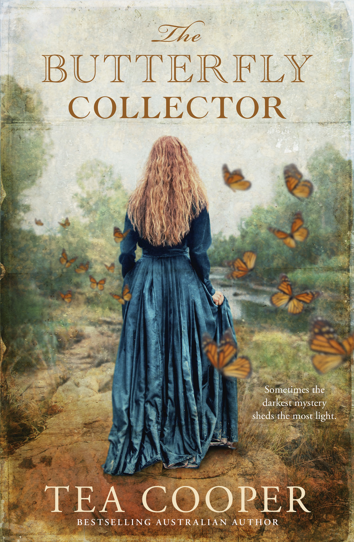 The Butterfly Collector Tea Cooper