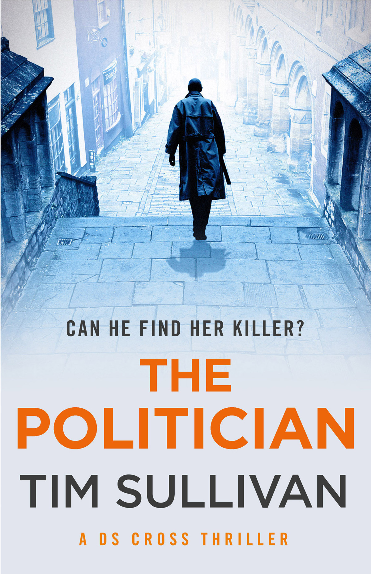 The Politician Tim Sullivan
