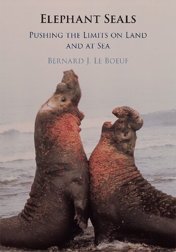 Elephant Seals Pushing The Limits On Land And At Sea 1st Edition Bernard J Le Boeuf