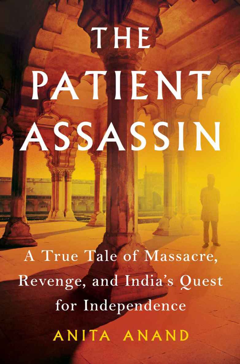 The Patient Assassin A True Tale Of Massacre Revenge And Indias Quest For Independence Anand