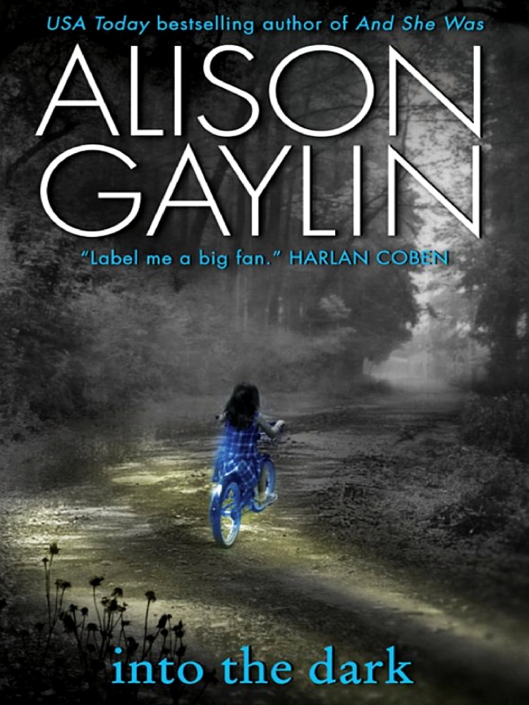 Brenna Spector 02into The Dark Alison Gaylin