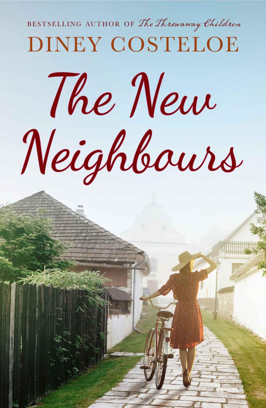 The New Neighbours Diney Costeloe