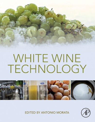 White Wine Technology Antonio Morata