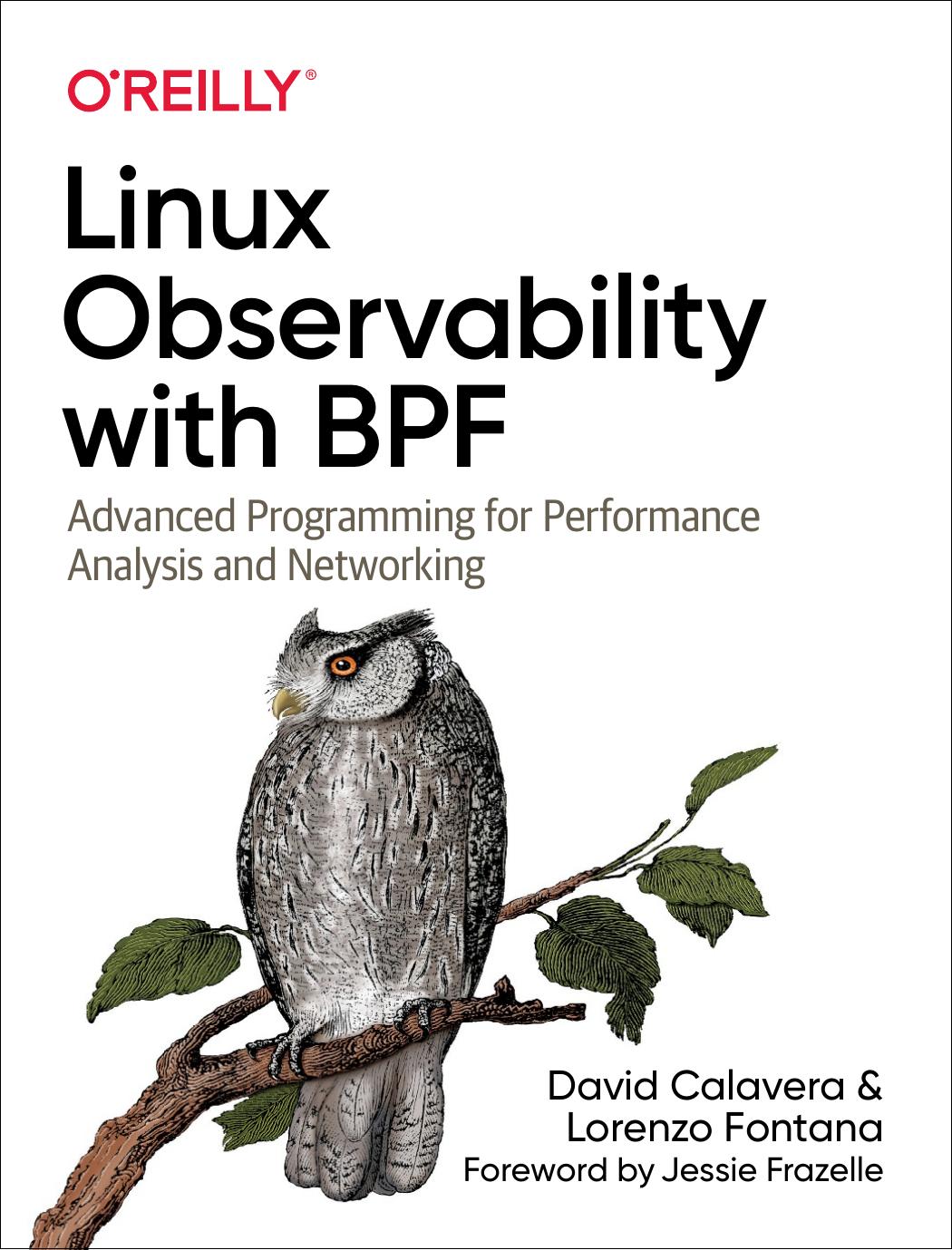Linux Observability With Bpf David Calavera Lorenzo Fontana