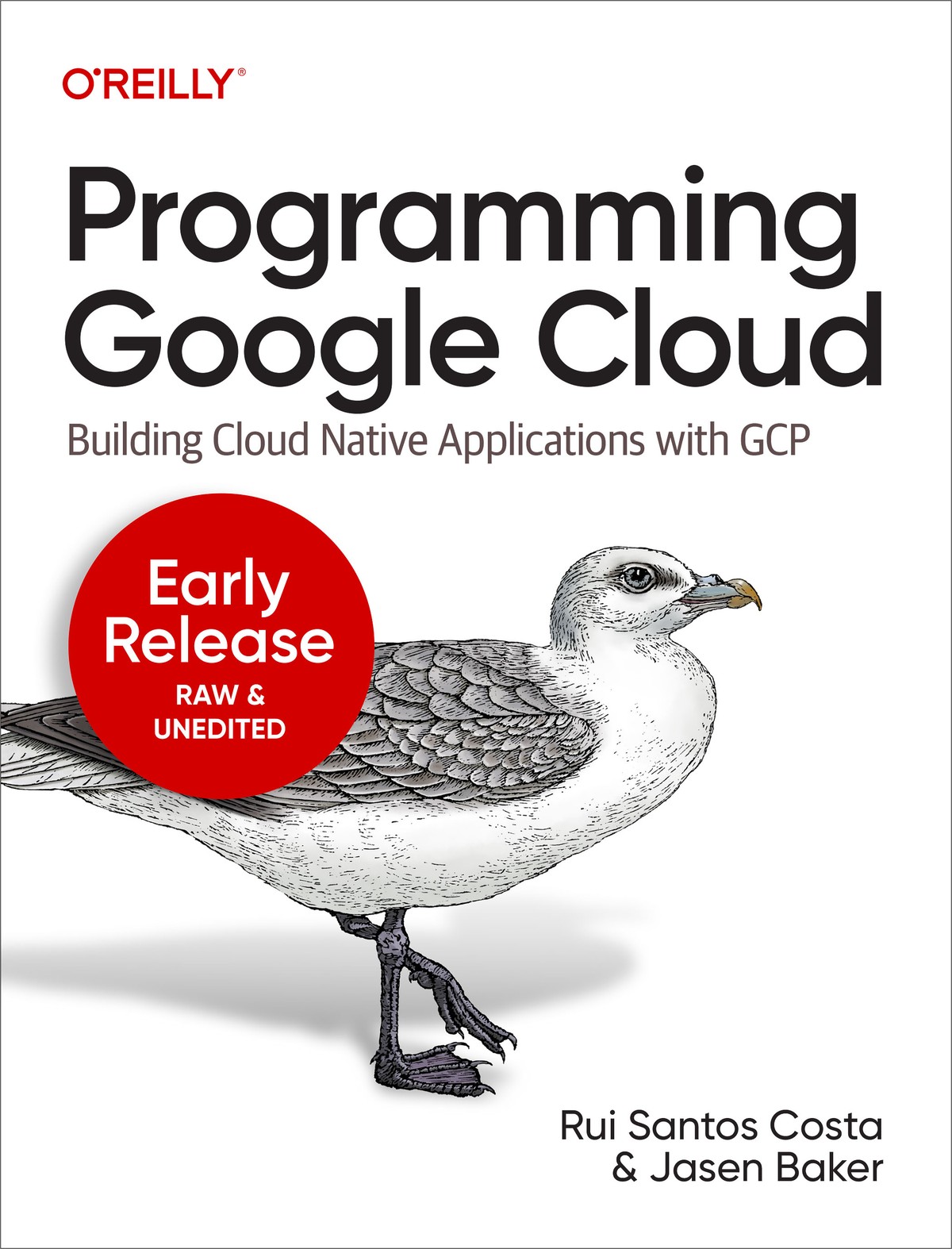 Programming Google Cloud 2 Rui Costa Jasen Baker
