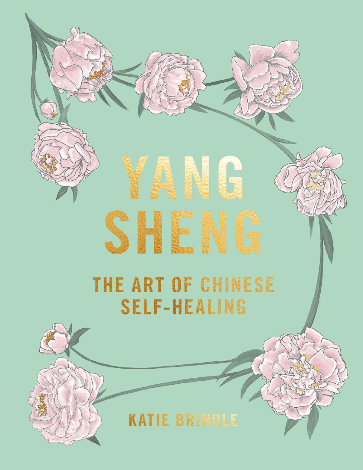 Yang Sheng The Art Of Chinese Selfhealing Ancient Solutions To Modern Problems Katie Brindle