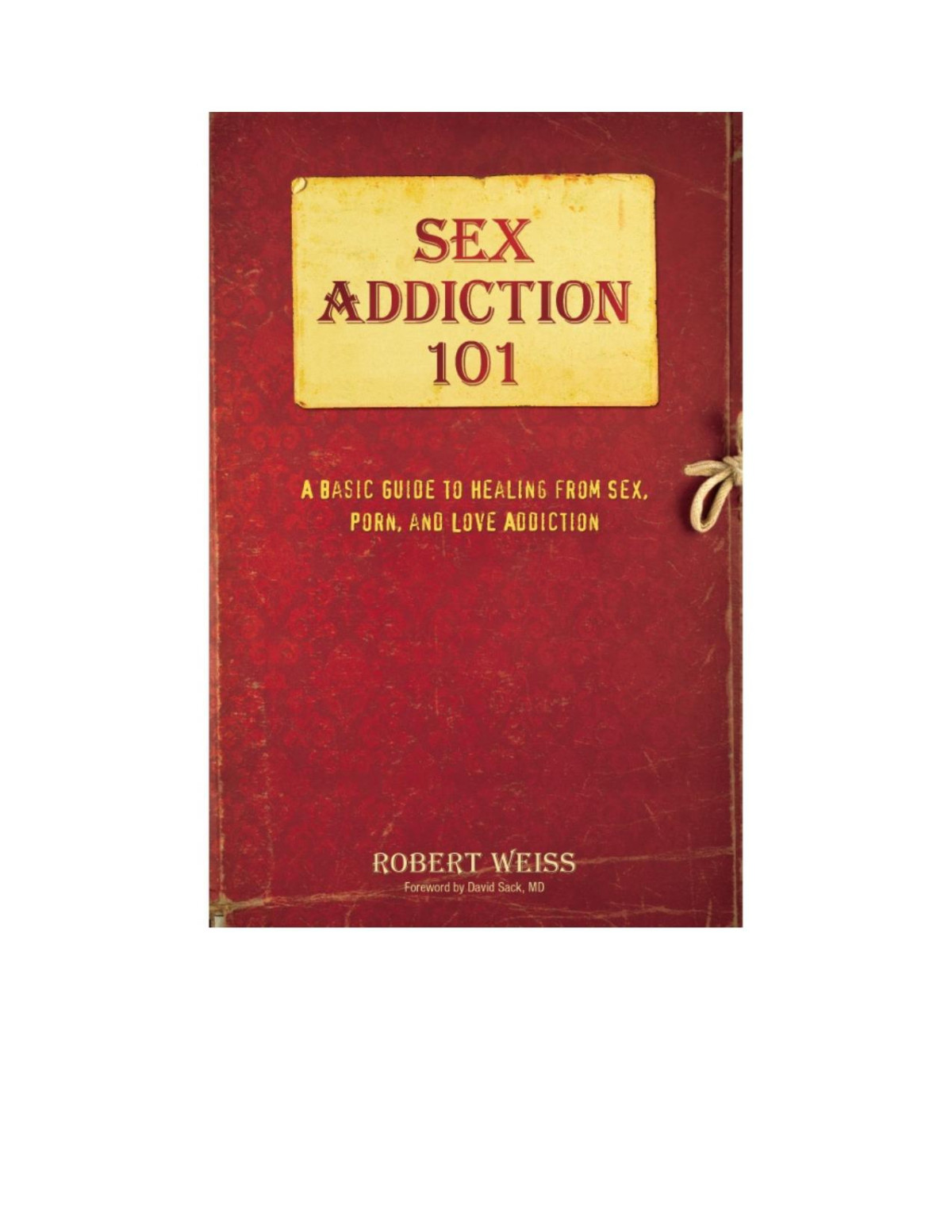 Sex Addiction 101 A Basic Guide To Healing From Sex Porn And Love Addiction Robert Weiss