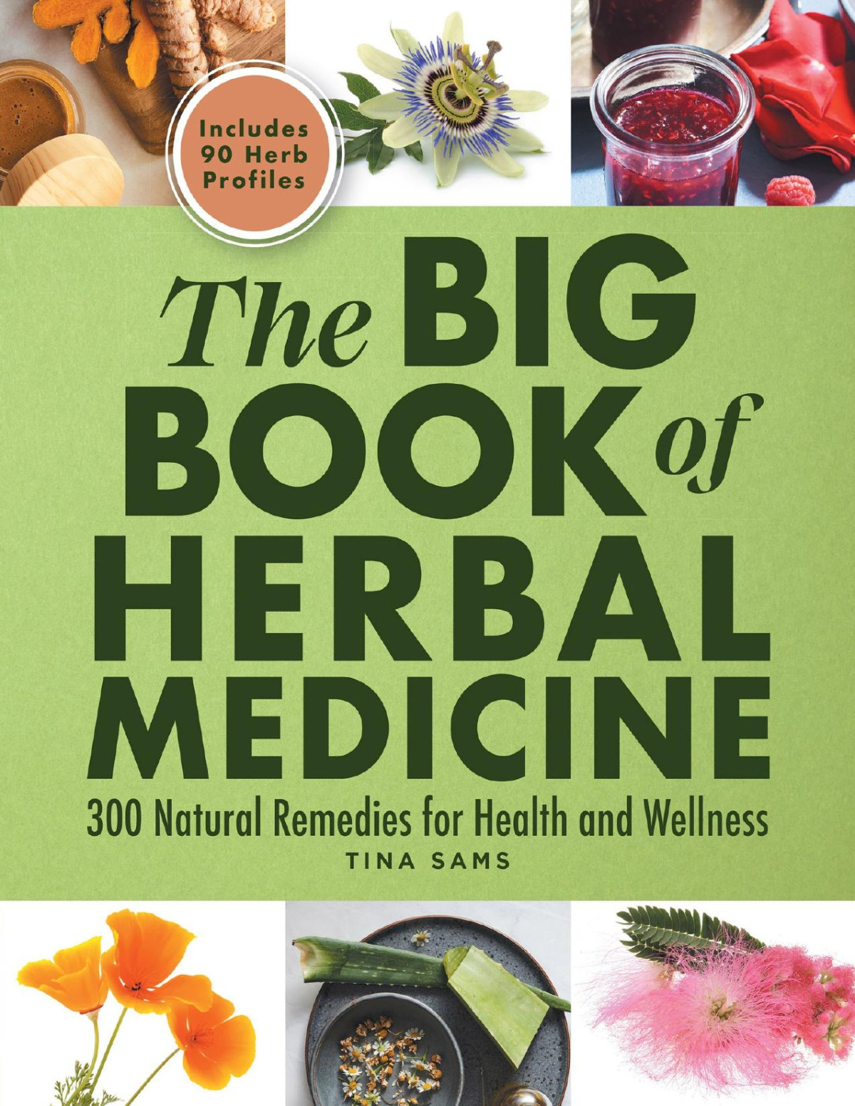 The Big Book Of Herbal Medicine Tina Sams