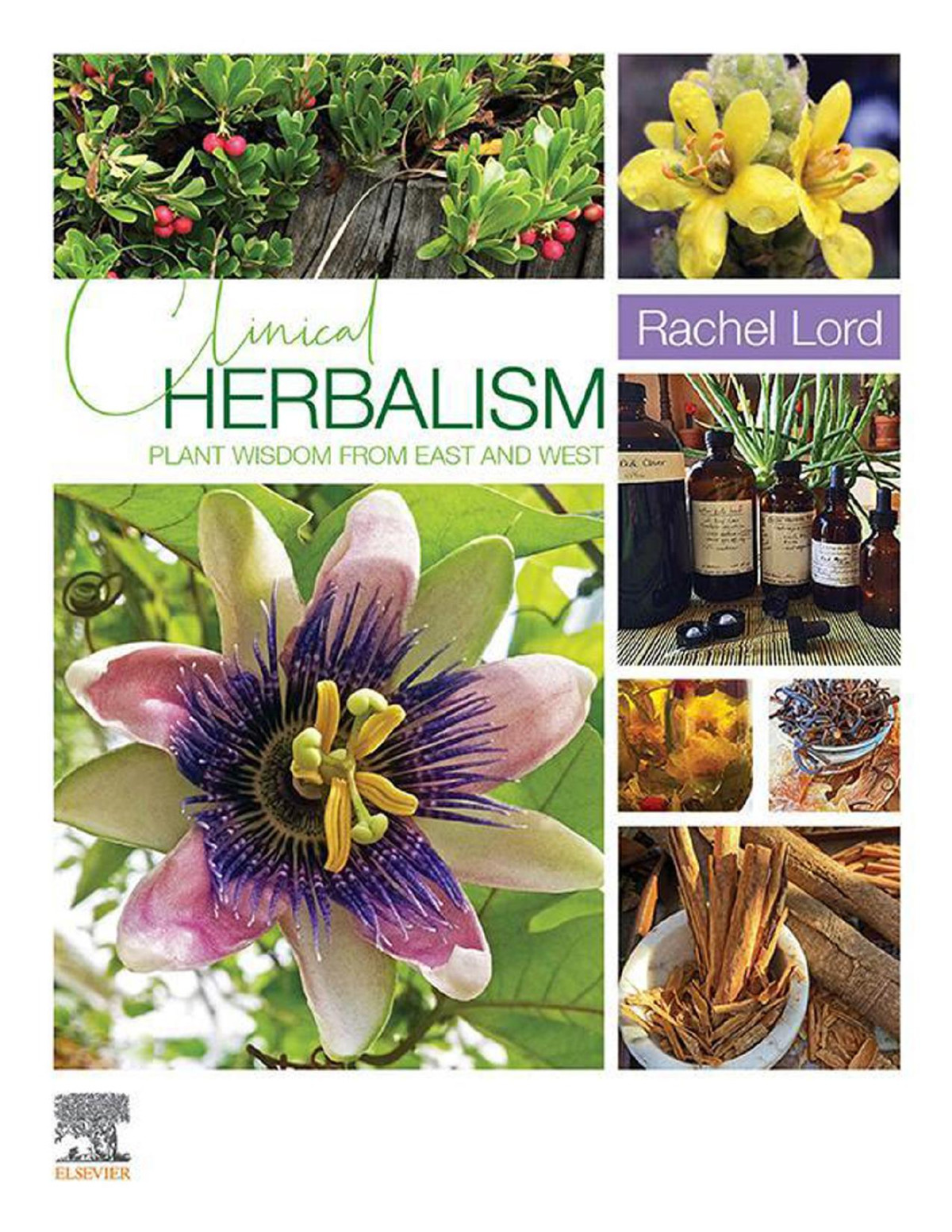 Clinical Herbalism Plant Wisdom From East And West Rachel Lord