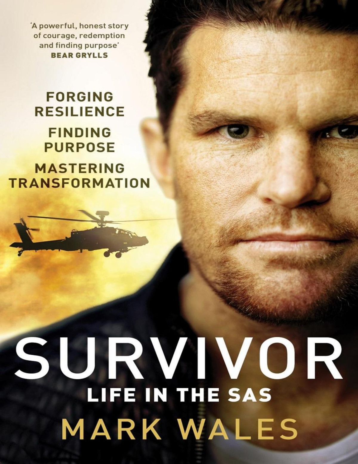 Survivor Life In The Sas Mark Wales