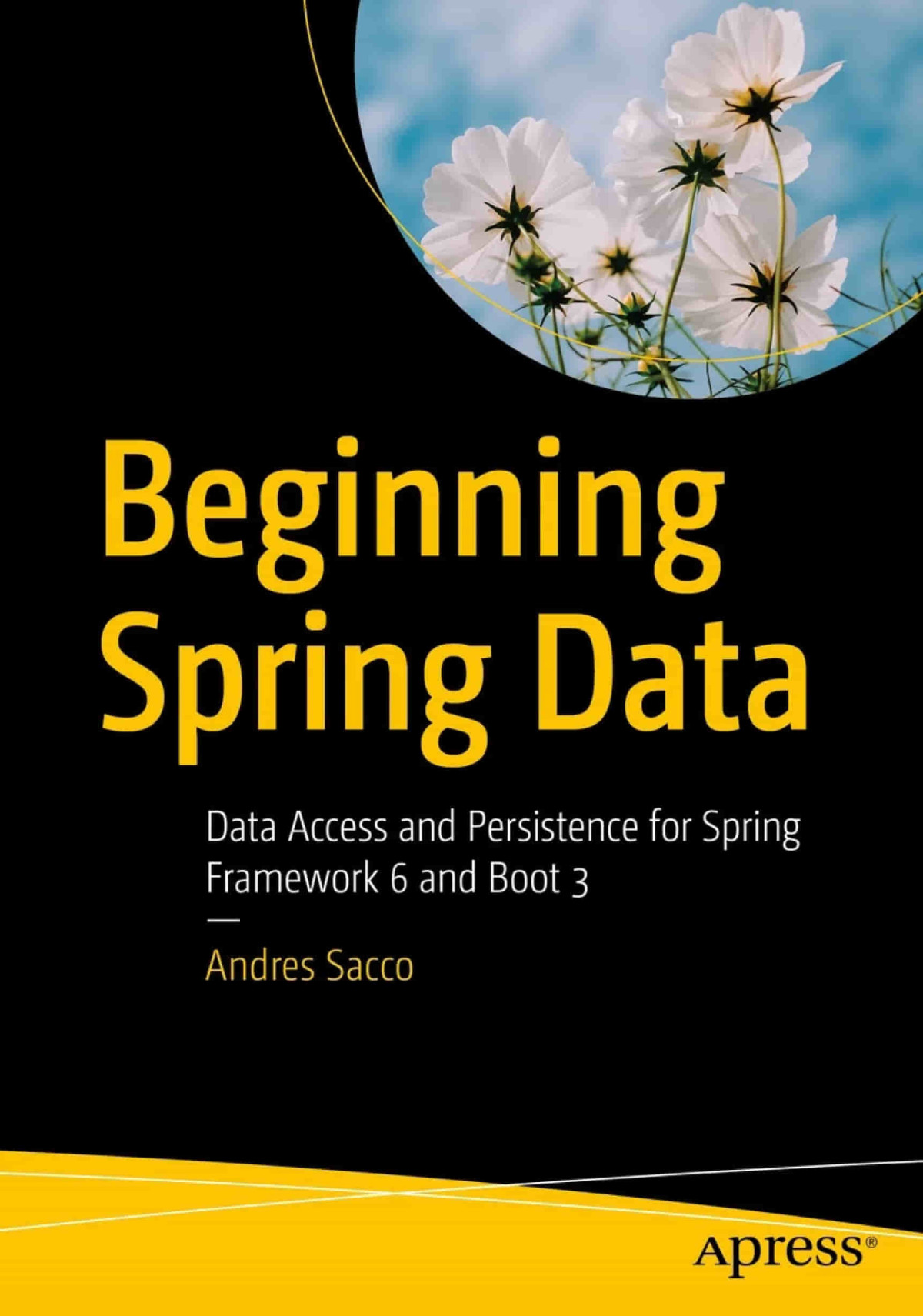 Beginning Spring Data Data Access And Persistence For Spring Framework 6 And Boot 3 1st Edition Andres Sacco