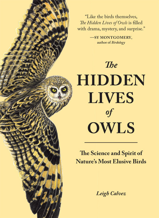 The Hidden Lives Of Owls The Science And Spirit Of Natures Most Elusive Birds Leigh Calvez