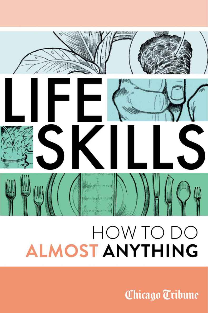 Life Skills How To Do Almost Anything Agate Digital
