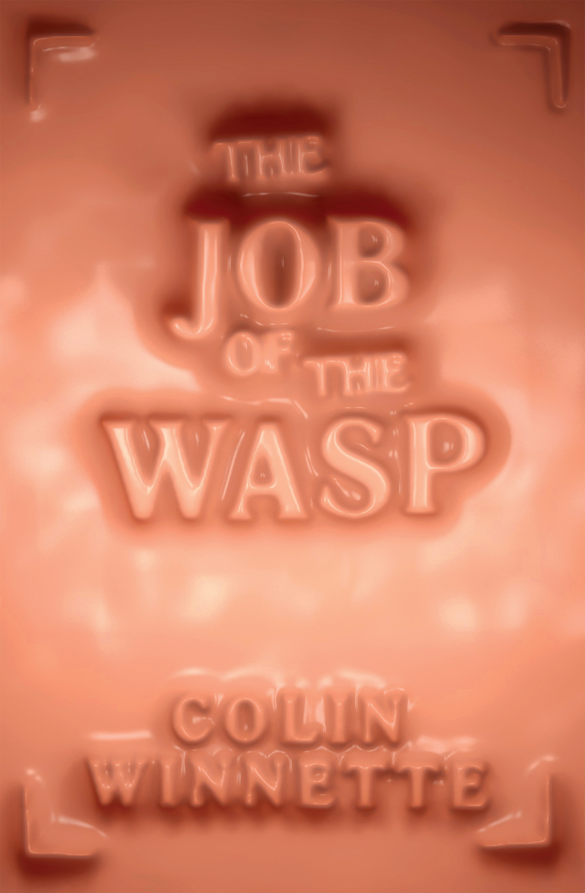 The Job Of The Wasp Colin Winnette