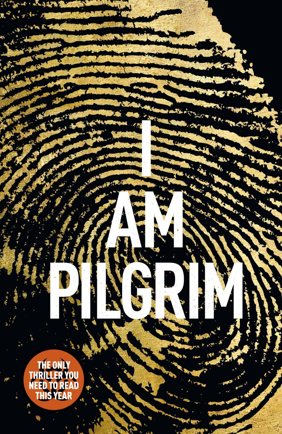 I Am Pilgrim A Thriller Novel Reissue Terry Hayes
