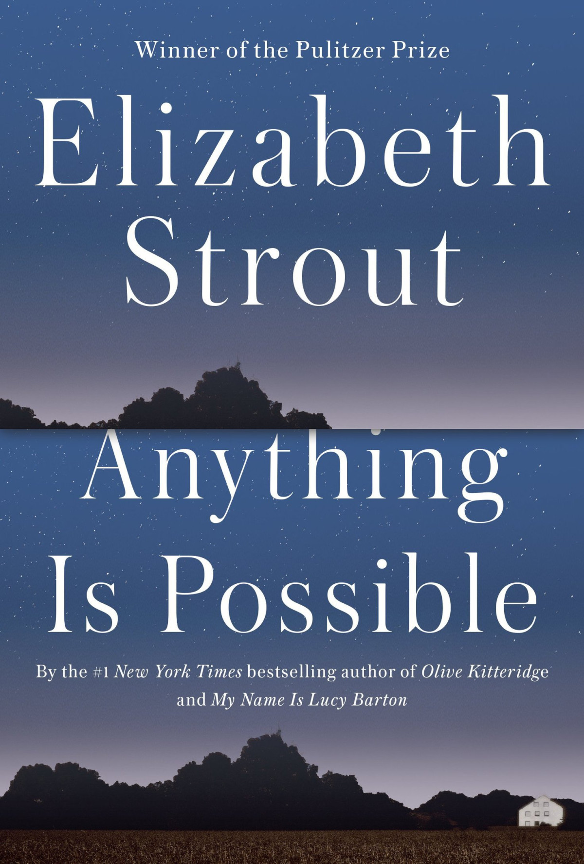 Anything Is Possible Elizabeth Strout