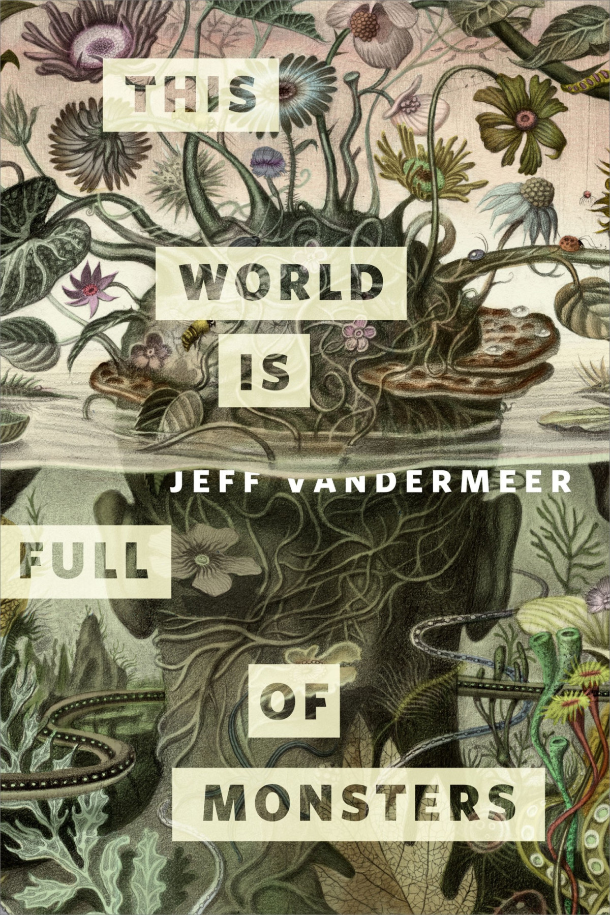This World Is Full Of Monsters Jeff Vandermeer