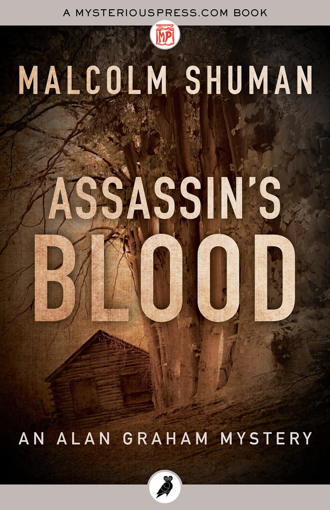 Assassins Blood Malcolm Shuman