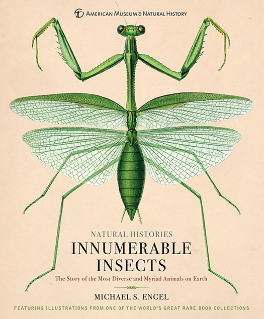 Innumerable Insects The Story Of The Most Diverse And Myriad Animals On Earth Michael S Engel