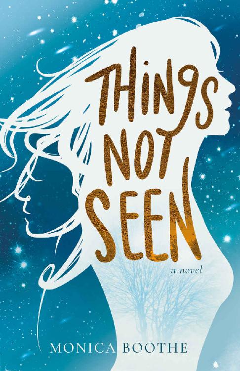 Things Not Seen Monica Boothe