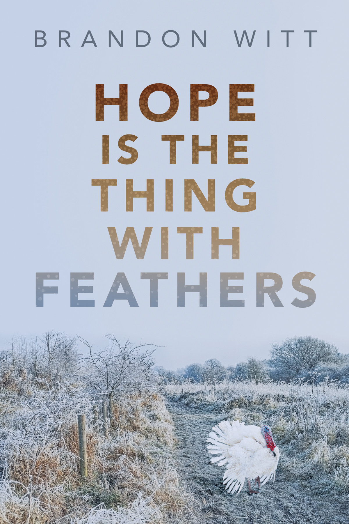 Hope Is The Thing With Feathers Brandon Witt