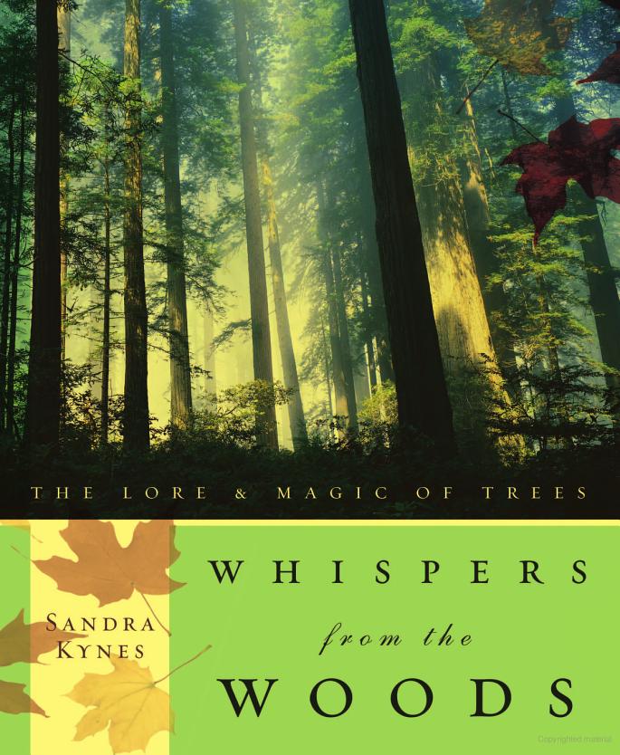Whispers From The Woods The Lore Magic Of Trees Sandra Kynes