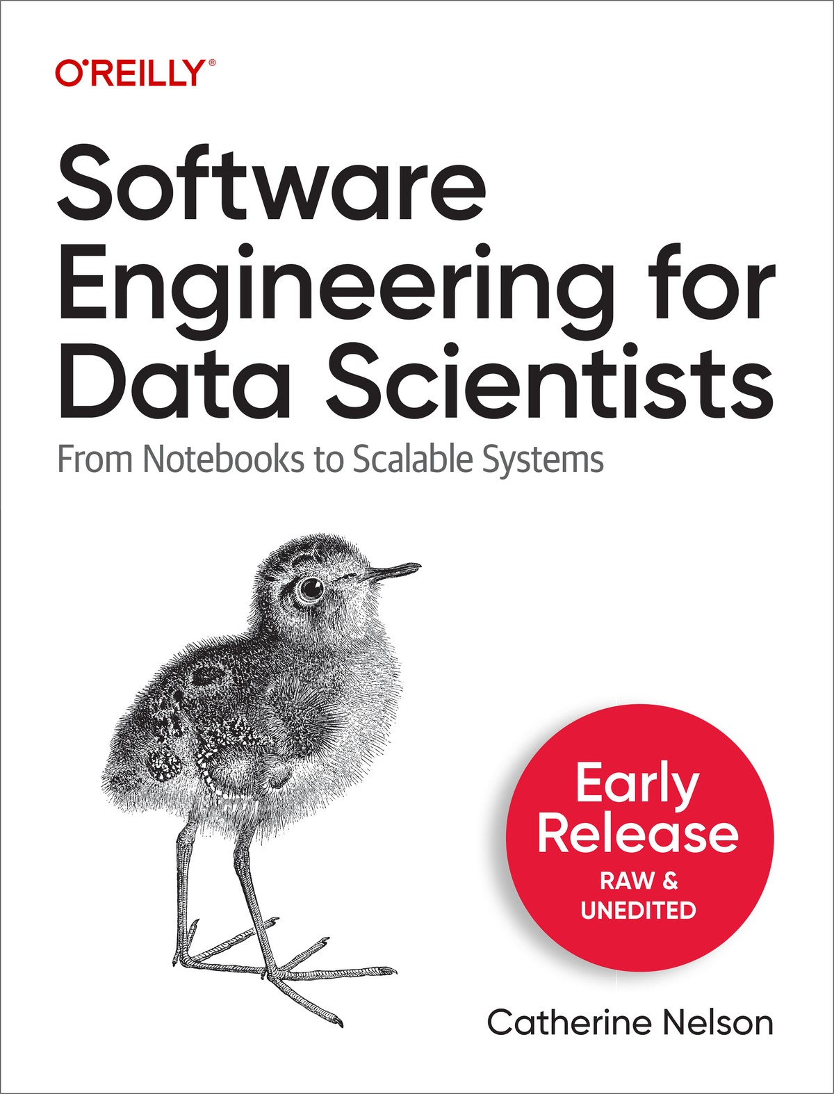 Software Engineering For Data Scientists Early Release Catherine Nelson