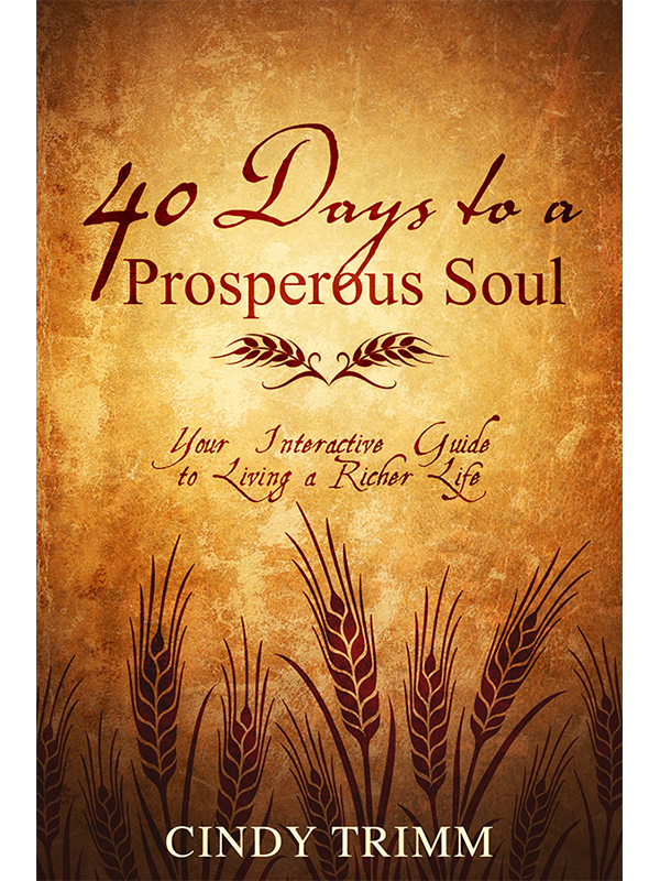40 Days To A Prosperous Soul Your Interactive Guide To Living A Richer Life 1st Cindy Trimm
