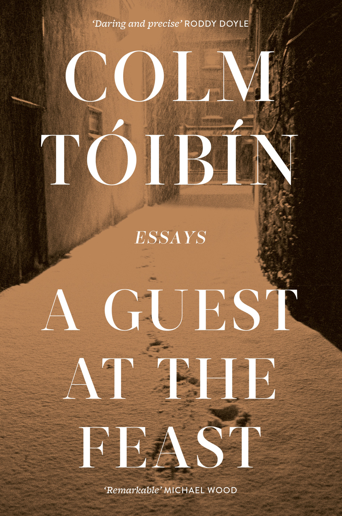 A Guest At The Feast Colm Tibn