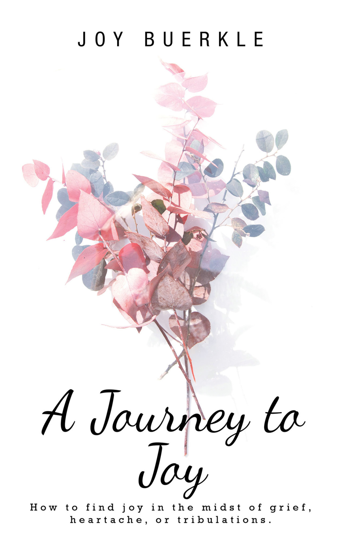 A Journey To Joy How To Find Joy In The Midst Of Grief Heartache Or Tribulations 1st Joy Buerkle