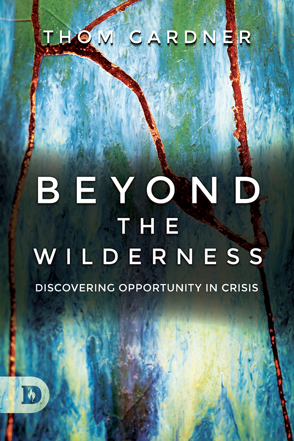 Beyond The Wilderness Discovering Opportunity In Crisis Thom Gardner