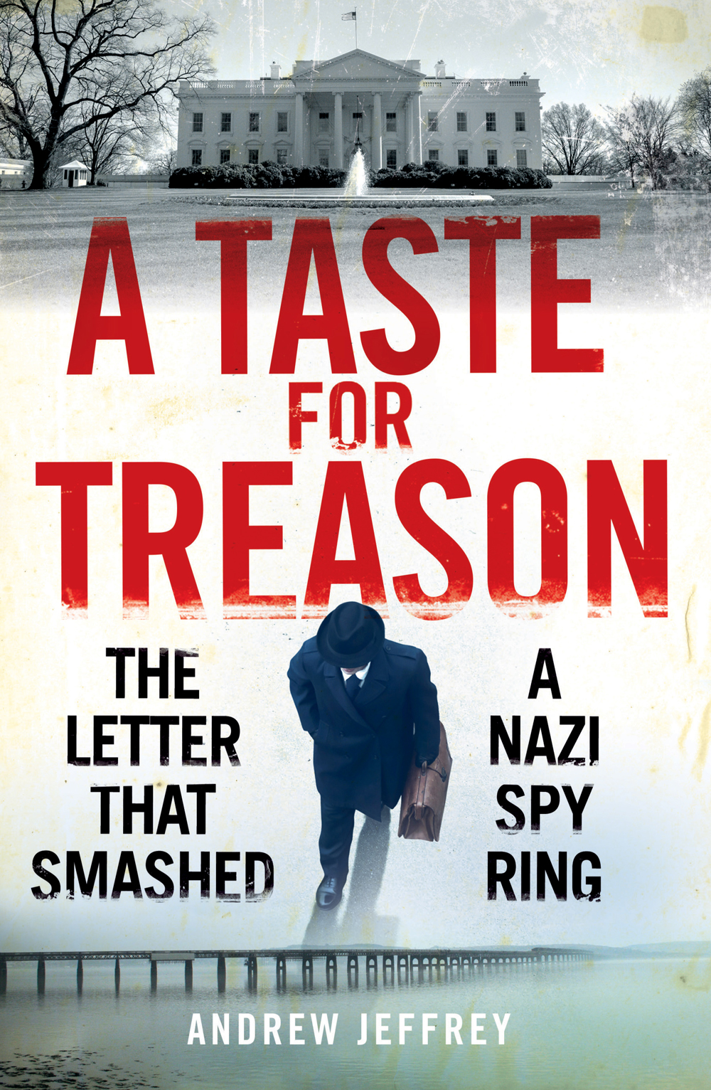 A Taste For Treason The Letter That Smashed A Nazi Spy Ring Andrew Jeffrey