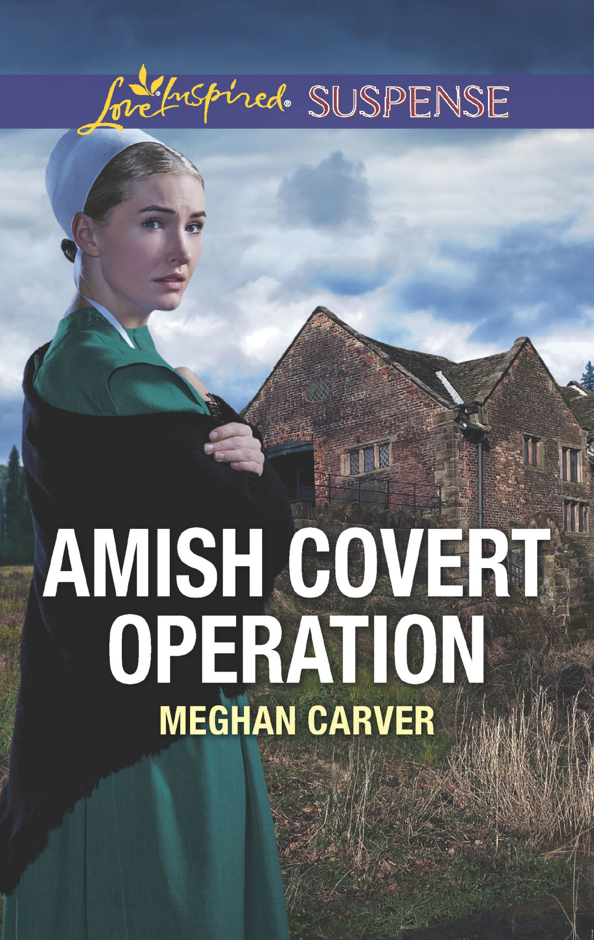 Amish Covert Operation Meghan Carver