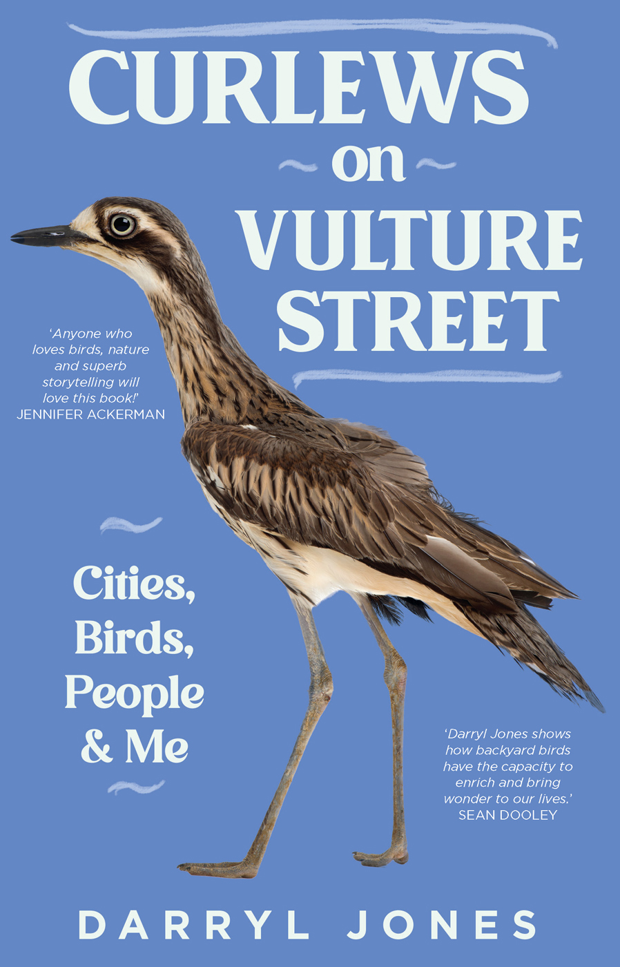 Curlews On Vulture Street Darryl Jones