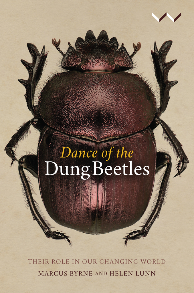 Dance Of The Dung Beetles Their Role In A Changing World Helen Lunn
