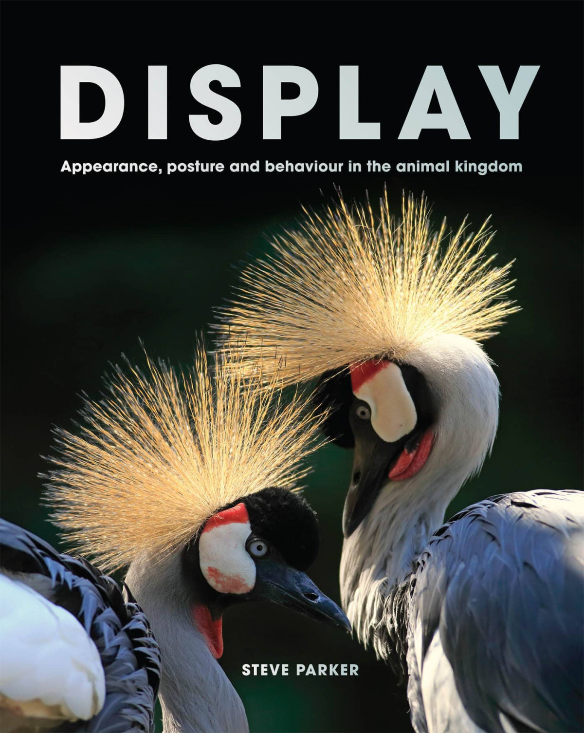 Display Appearance Posture And Behaviour In The Animal Kingdom Steve Parker