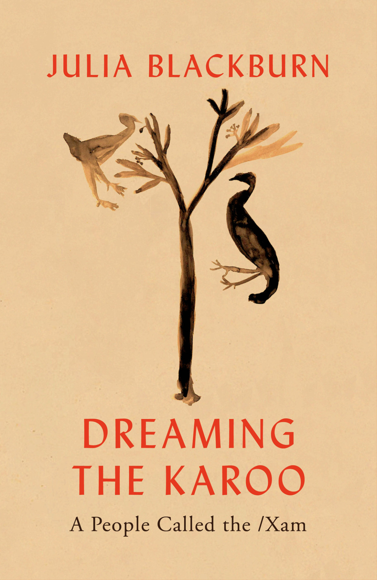 Dreaming The Karoo Julia Blackburn