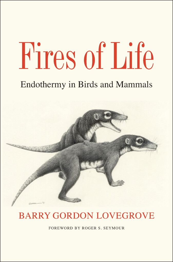Fires Of Life Barry Gordon Lovegrove