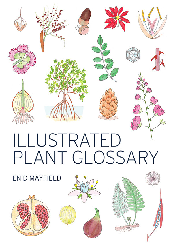 Illustrated Plant Glossary Enid Mayfield